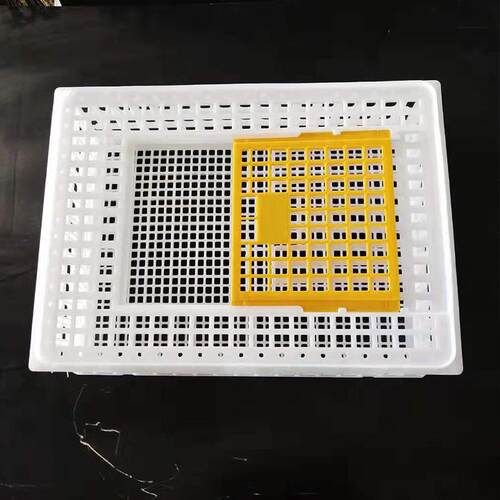 鸡笼周转塑箱鸡笼子运输养殖料鸭鸽家ISI用大号鸡用运输筐加厚鸡