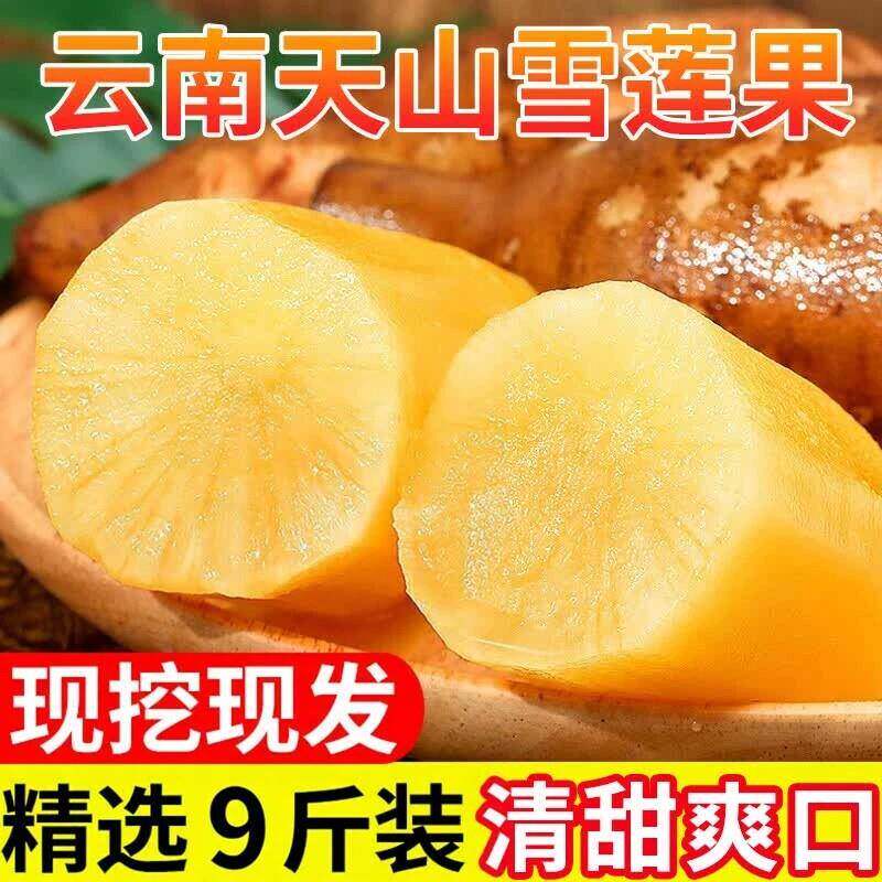 云南天山雪莲果新鲜水果当季现挖脆甜红心黄心雪连果时令大果整箱