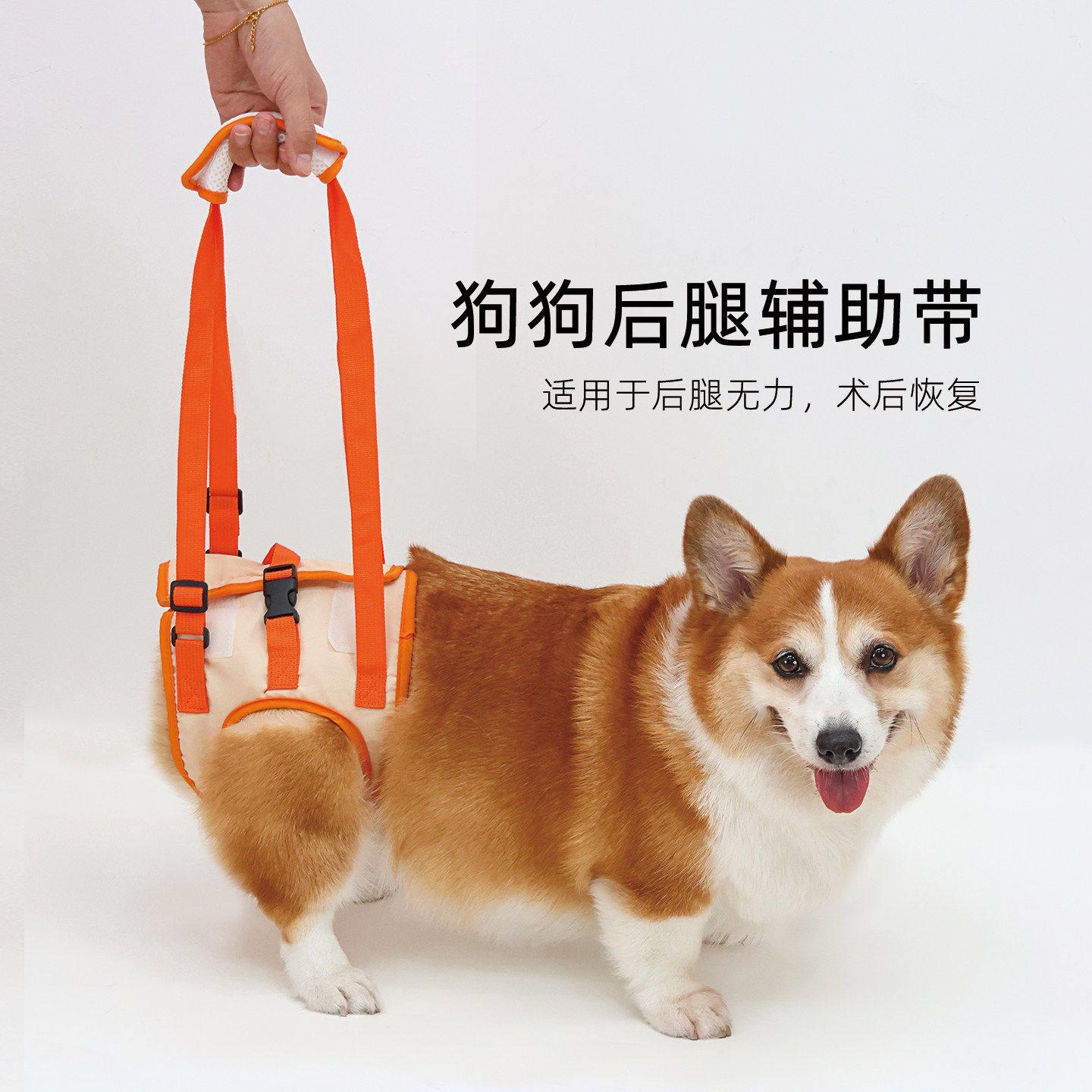 宠物狗狗后腿辅助带上下楼梯辅助行走器老年犬专用后肢瘫痪助行器