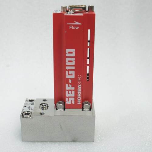 HORIBA STEC SEF-G100 SEF-G111AM MFC MASS 流控制器 3SLM N2O F
