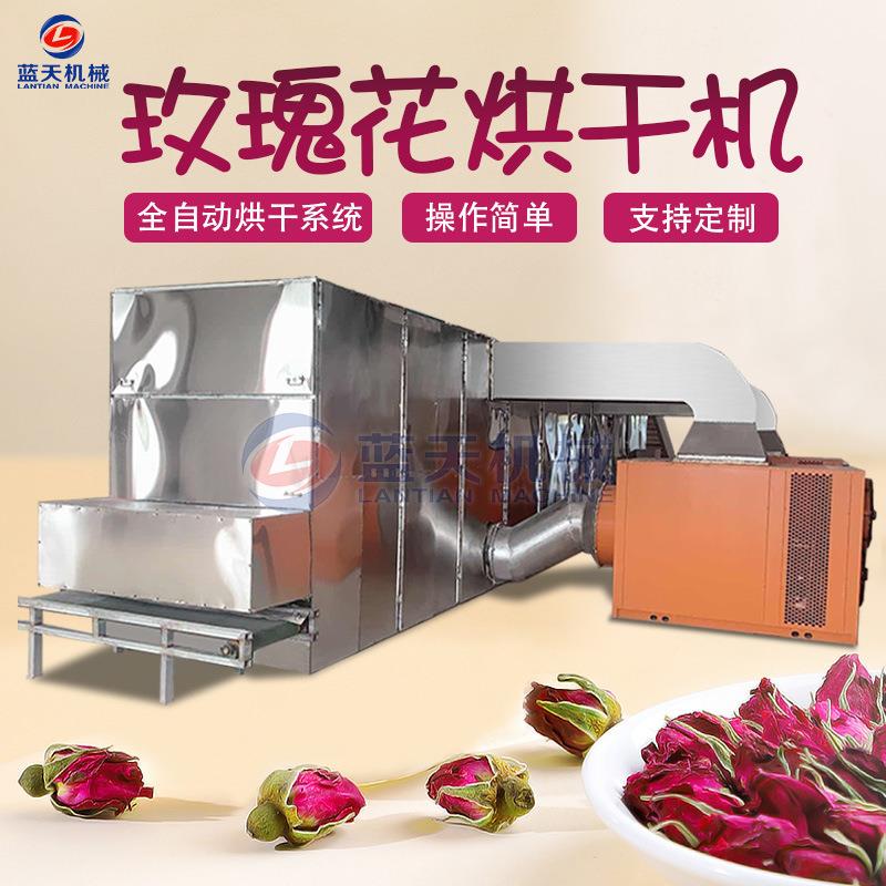 玫瑰花烘干机大型网带食用玫瑰花蕾花苞干燥机玫瑰花茶烘干设备