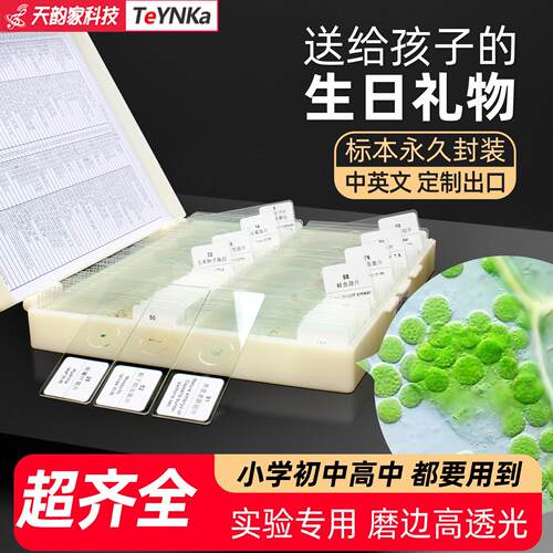 生物显微镜标本切片永久装片儿童学生实验动物昆虫植物细胞载玻片
