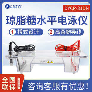31DN琼脂糖水平小号电泳槽DYY 北京六一DYCP 6C电泳仪电源