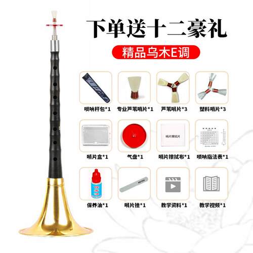 高档专业精片品乌木呐初学者d调B演奏乐器降喇叭锁呐哨唢配件全套