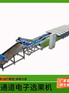牛奶枣多通道视觉重量分选机 鳄梨果冻橙糖度外观称重选果机