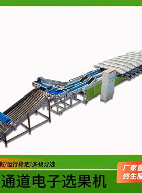 牛奶枣多通道视觉重量分选机鳄梨果冻橙糖度外观称重选果机