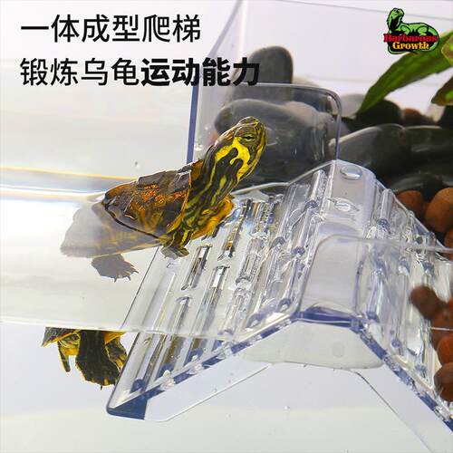 水族乌亚爬克力晒巴西龟台龟龟台台晒背乌龟透明台浮台浮岛爬坡水