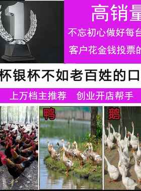 脱毛动机鸭鹅鸡兔鸽子毛褪机TM50-TM8大小型不锈钢鸡全自家用家禽