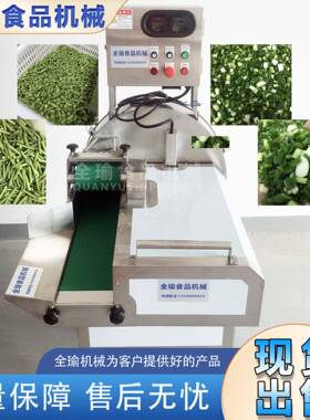 大批量黄瓜青瓜苦瓜丝瓜冬瓜输送切片机瓜类切片机厚薄可调变频式