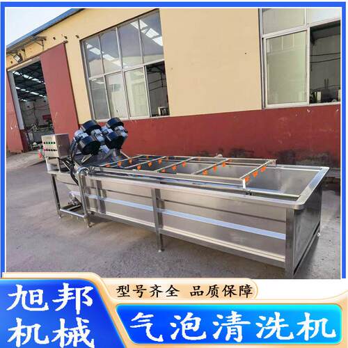 翻浪式红枣气泡清洗机 预制蔬菜水浴式洗菜机 多功能海鲜清洗设备