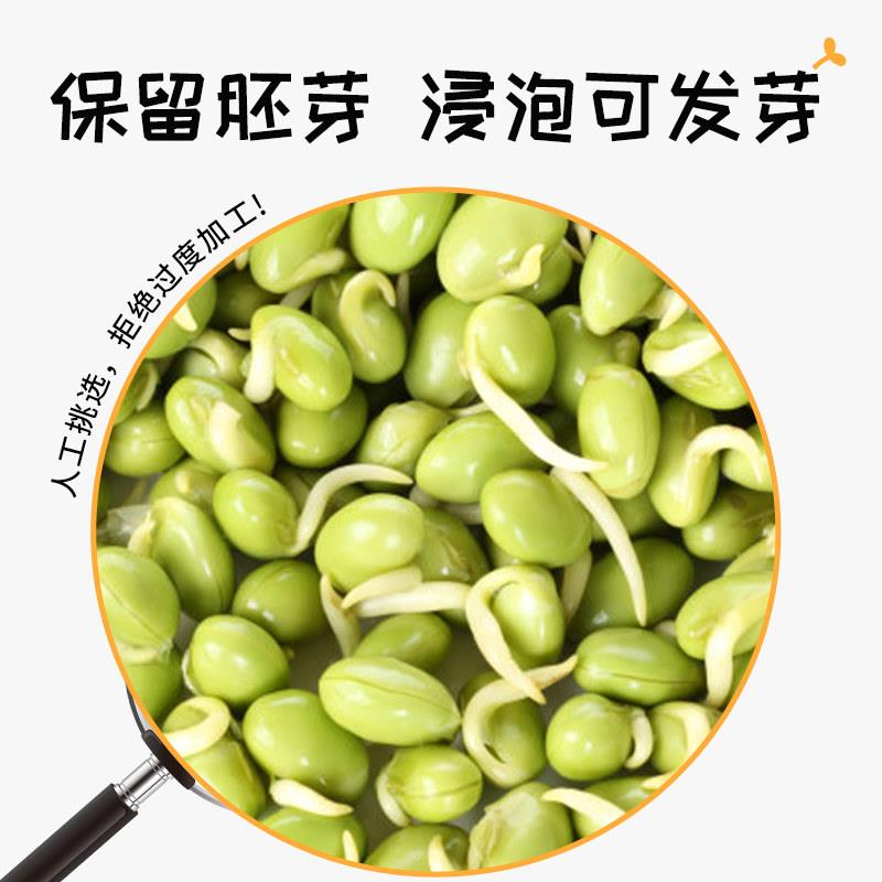 赤川赤峰绿豆新货农家袋装颗粒饱满绿豆粥绿豆汤材料5斤