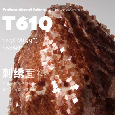 橙暮 高档立体透视绣片面料裙装时装舞台布料T610