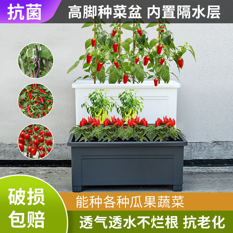 箱盆家庭箱带花盆塑料种植室内楼顶新款懒人花阳台蔬菜长方形种菜