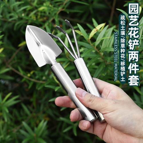Stainless Steel Flower Pot Mini Loosening Rake Small Grabbin