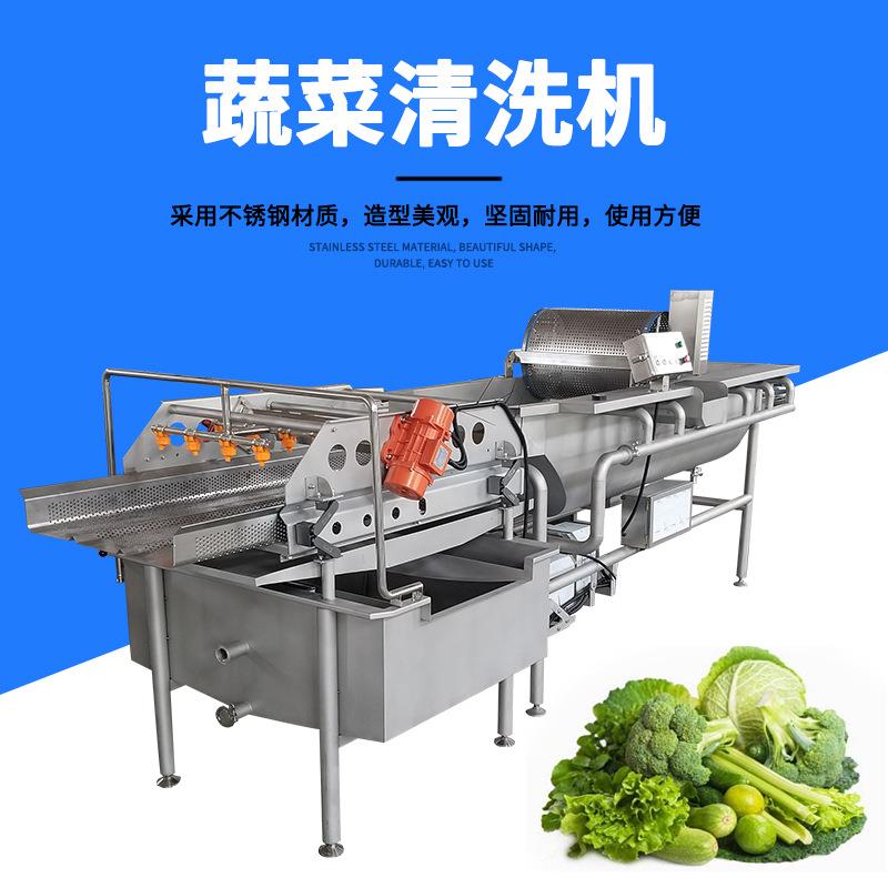 涡流清洗机JY-4200自动循环水臭氧排渣洗菜机 震动沥水果蔬清洗机
