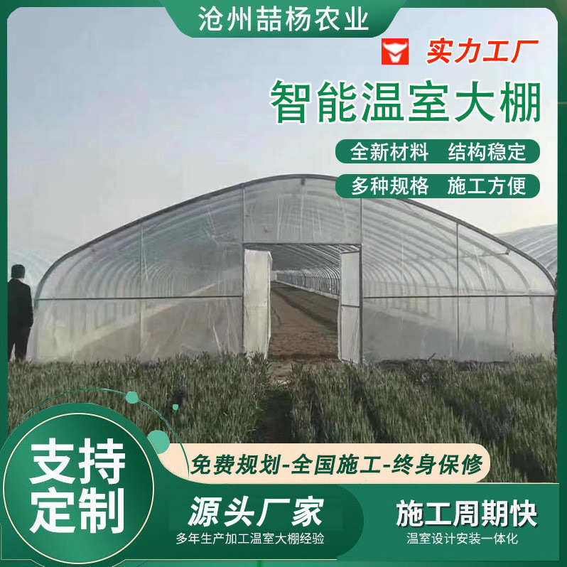 温室大棚骨架 冷棚暖棚插地棚 农业畜牧养殖棚 户外镀锌管大棚