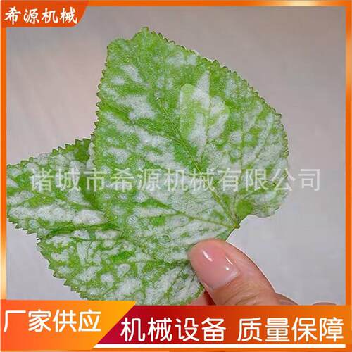 桑叶全自动淋浆机 香酥菜花南瓜花上浆设备 水果巧克力涂层机