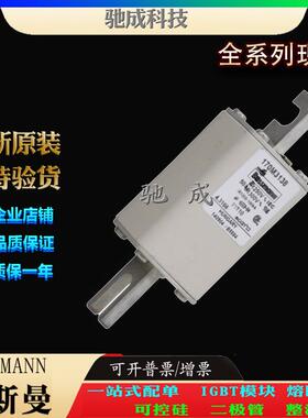巴斯曼170M3123 170M3138 170M3139 厂价直销优价供应 快熔保险丝