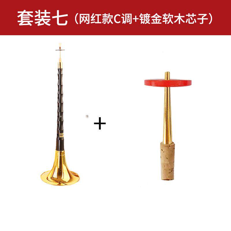 高档家彪网红唢乌木乐器初学者全套民族喇叭王d调降B呐调考入门专