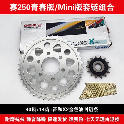 适用钱江QJ250GS-29F赛250青春版Mini版套链牙盘链轮征和油封链条