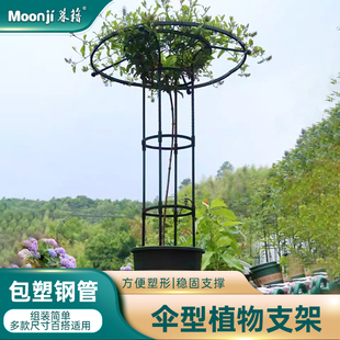 伞形花架铁线莲爬藤支架阳台庭院户外月季植物攀爬支撑杆固定架子