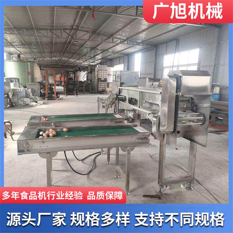 鸡蛋分级机蛋品 全自动蛋品重量分级机 鸡蛋鸭蛋鹅蛋大小分选机