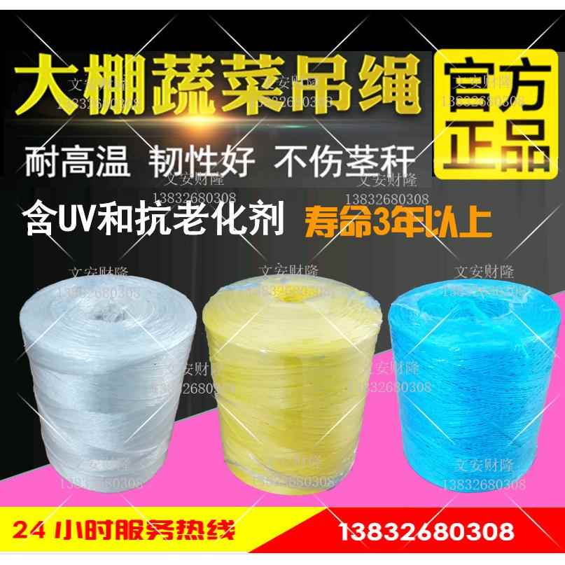 蔬菜吊挂绳大棚温室番茄黄瓜吊蔓绳吊秧绳吊绳（6250米/卷）