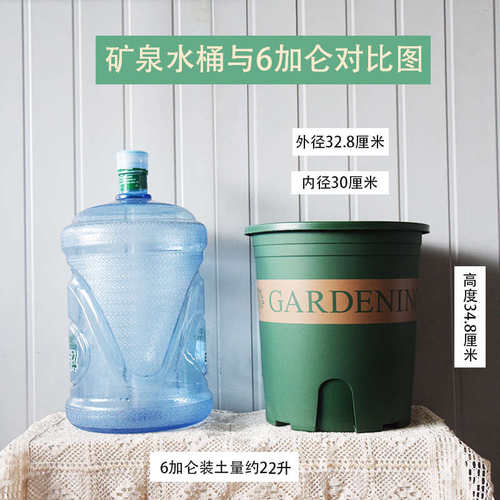 塑料花盆简约大加仑盆二代加厚6加仑7加仑控根盆阳台家用绿植花卉