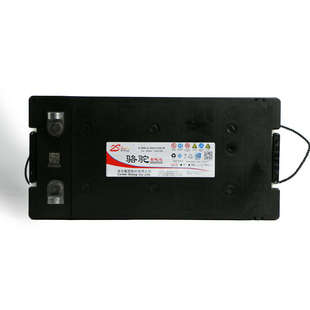 骆驼6-QW-200ah蓄电池适用卡车货车汽车免维护电瓶12v 以旧换新