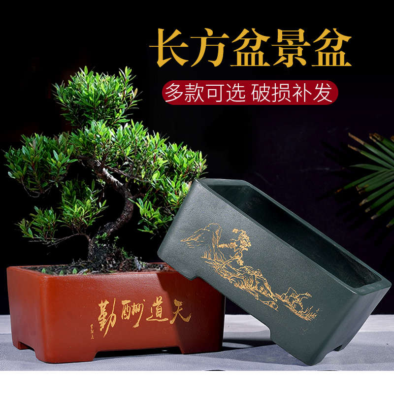 紫砂花盆长方形马槽盆景盆室内陶瓷树桩盆简约刻绘手工文竹盆促销