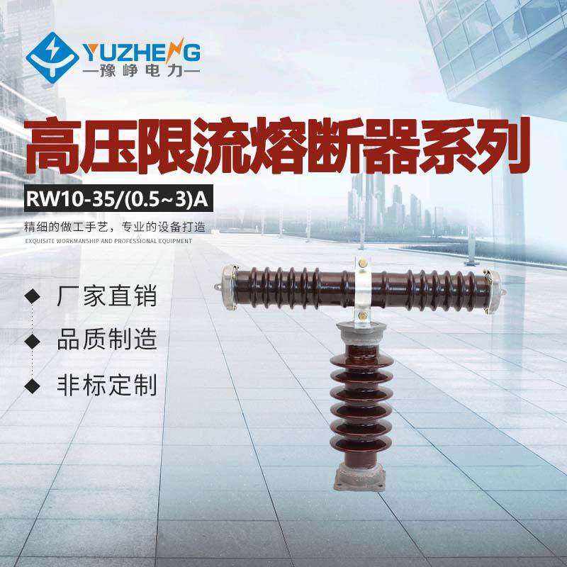 RXWO RW10-35 RW9 RXWO-35KV高压限流熔断器0. 1A 2A 3A-1保险丝