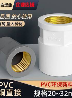 PVC给水管配件大全入铜直接头 异径内丝4分6分1寸内螺纹20 25 32