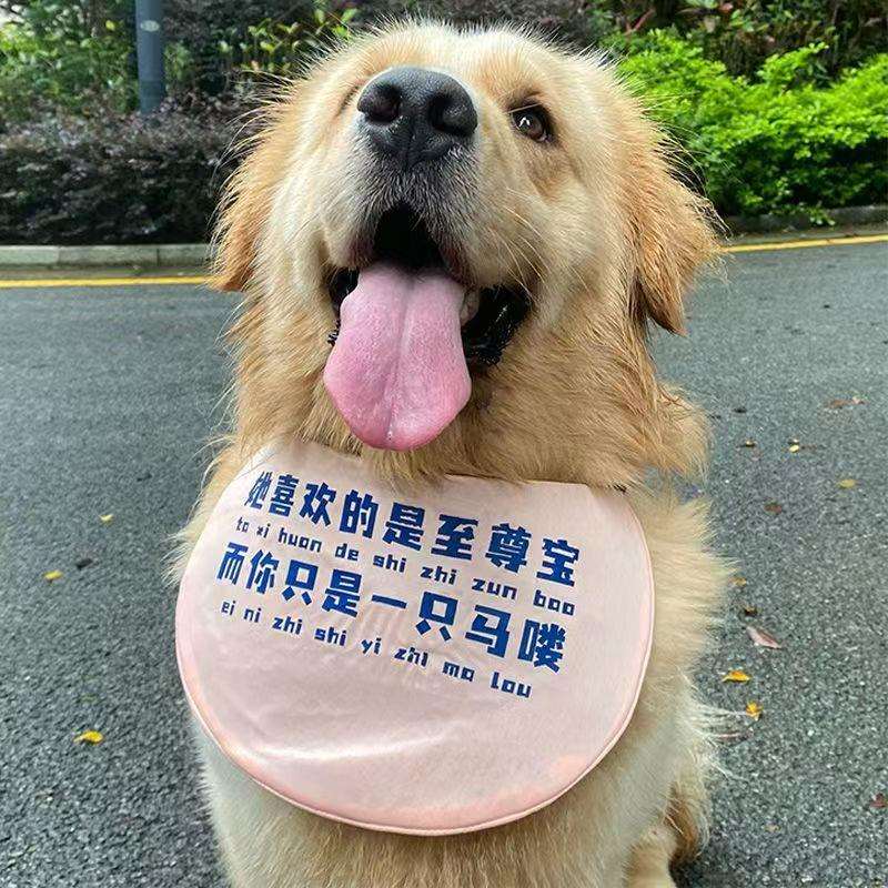 新款金毛口水巾宠物她喜欢的是至尊宝圆兜金毛中大型边牧口水巾