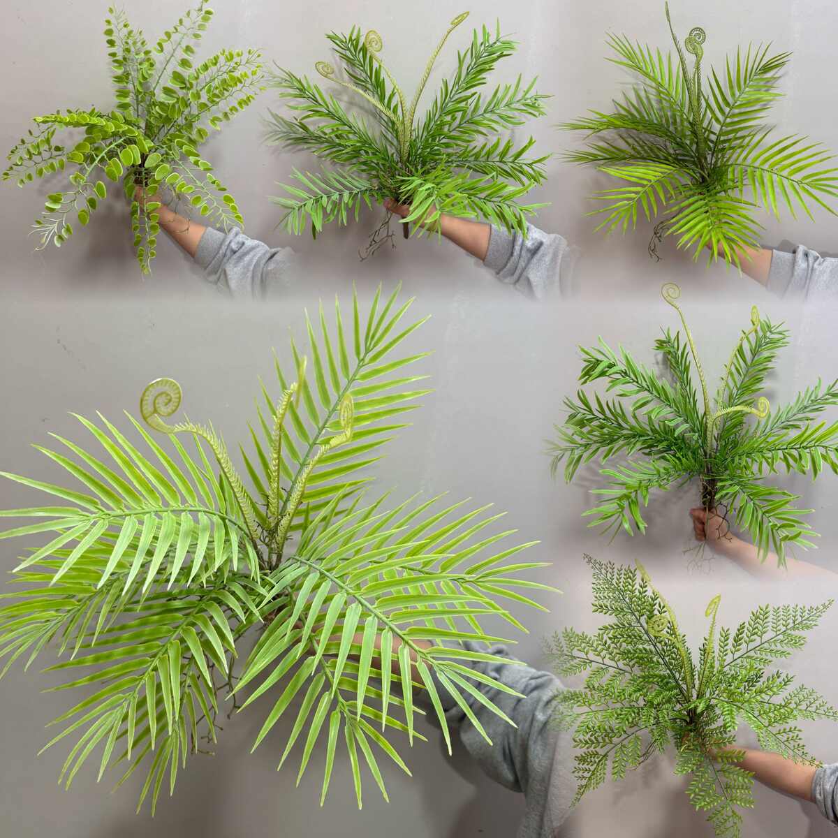 高仿真手感狼尾蕨绿色波斯蕨叶肾蕨软胶植物餐厅墙面花槽插花造景