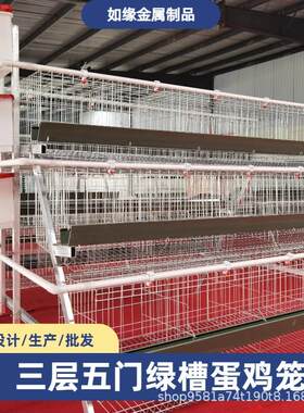 绿槽阶梯蛋鸡笼三层五门集中管理养殖设备框热镀锌架式三层蛋鸡笼