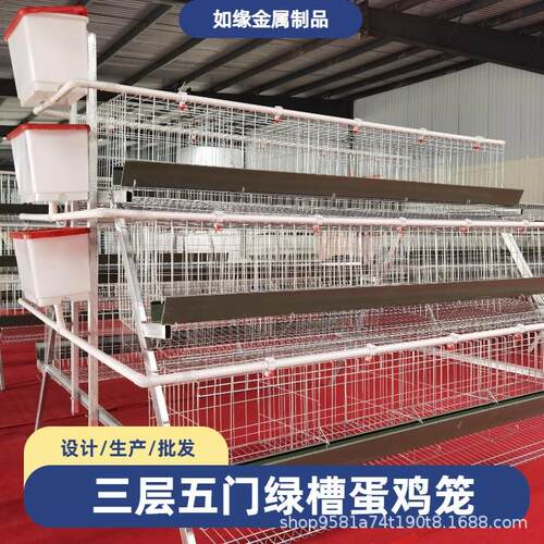 绿槽阶梯蛋鸡笼三层五门集中管理养殖设备框热镀锌架式三层蛋鸡笼