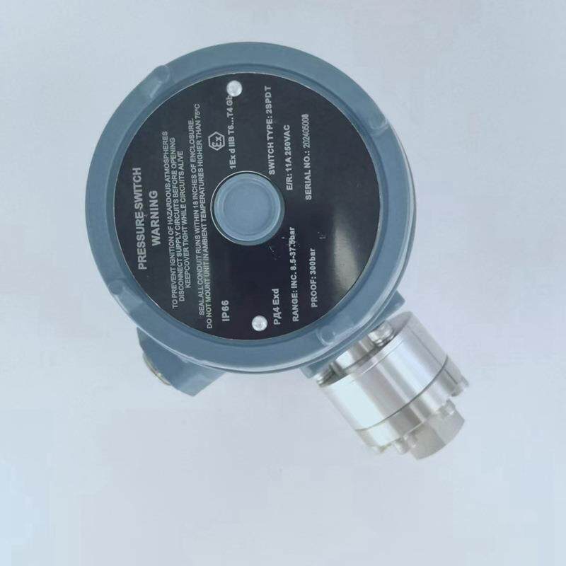 压力表配件压力控制器石油化工压力仪表压力控制器