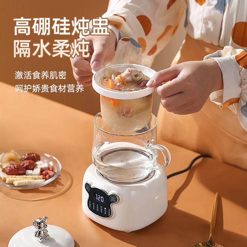 宝妈燕窝隔水炖养生壶小型办公室煮茶壶养生杯多功能烧水壶花茶壶