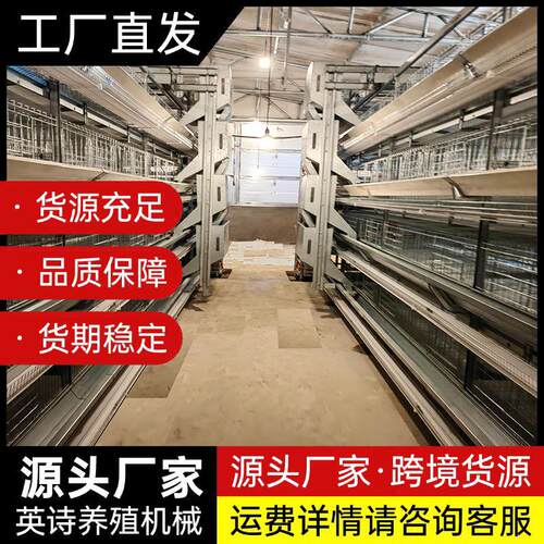 厂家全自动化捡蛋喂料蛋鸡设备/养鸡设备小层叠支持出口全国
