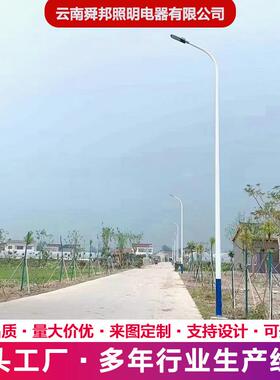 6m7m8M10米12米市电220V单臂路灯高低双臂路灯杆户外防水道路照明