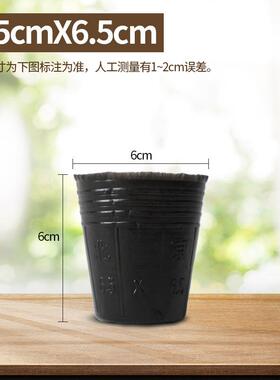 荷花盆加厚一次性黑色塑料有孔碗莲盆水生植物育苗盆睡莲盆营养钵