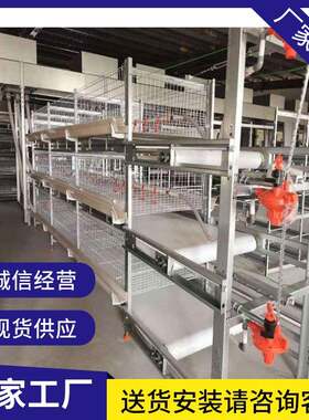 框架立式肉鸡笼层叠H型自动化半自动化养殖设备厂家生产
