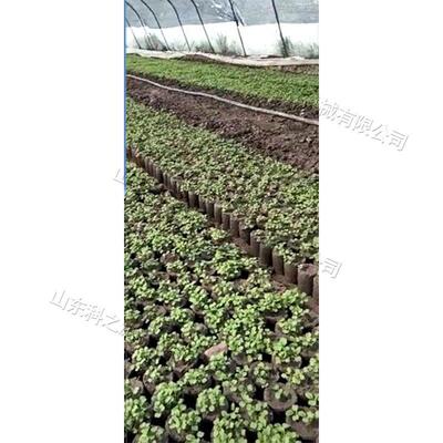 小型农用营养土制钵机蔬菜种植打营养钵机对冲式营养体压钵机