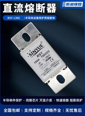 直流保险丝充电桩新能源保险丝750V80A100A125A160A200A250A700V