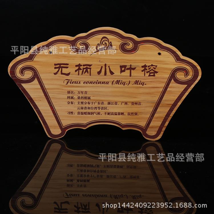 实木奖牌 书本奖牌 异形奖牌新型木质奖牌牌匾榉木花梨木奖牌