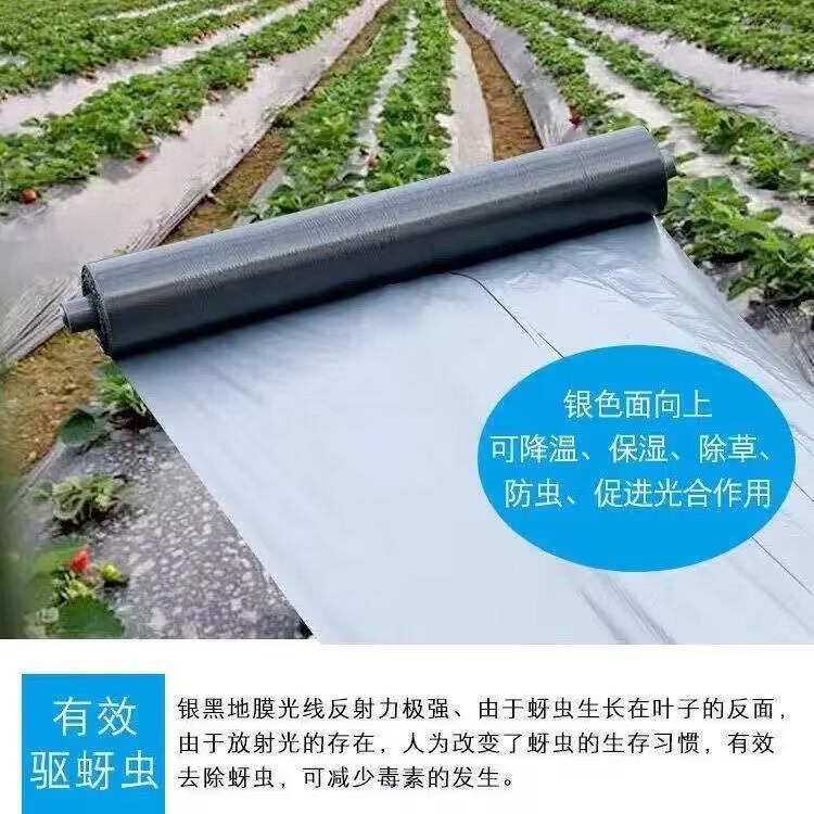 银黑双色地膜加厚防水白膜黑膜反光地膜覆盖除草保湿塑料薄膜农用
