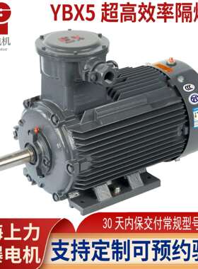 YBX5-80M1-20.75W防爆电机ExdbIIBT4Gb石化//化工有防爆证