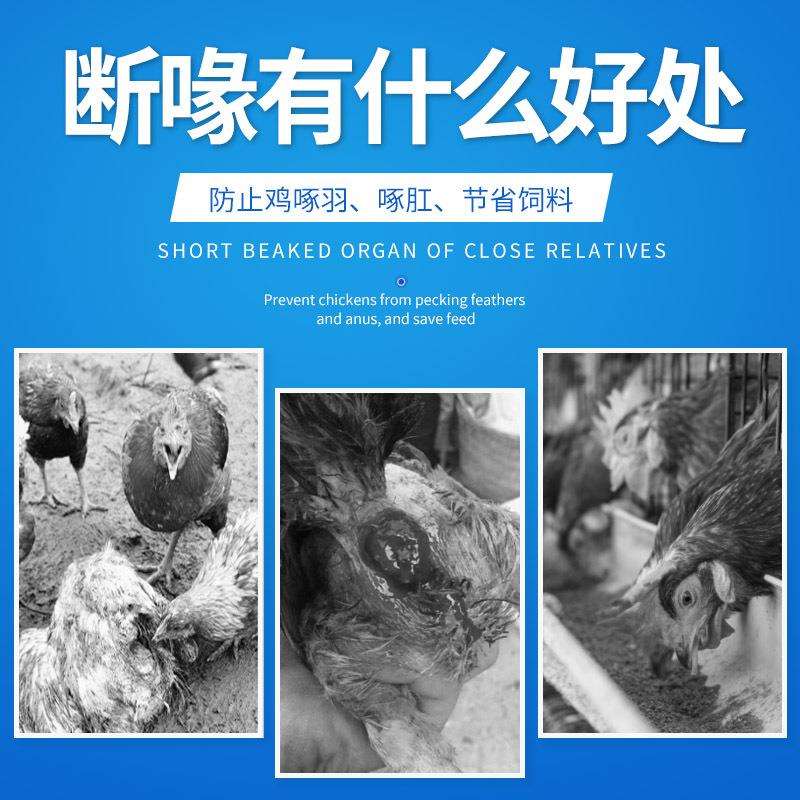 鸡断喙器全自动切嘴机鸡用断嘴器烫嘴机电动切咀机鸡鸭快速切嘴器