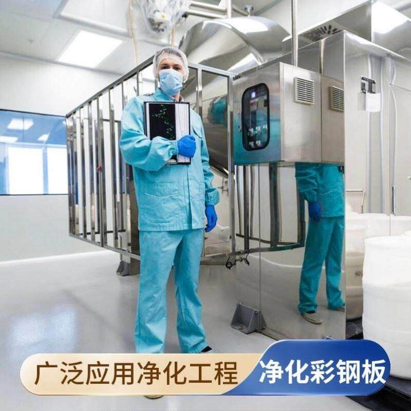 机制硫氧镁板防火隔热彩钢板隔墙板岩棉净化板复合夹芯洁净板吊顶