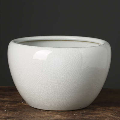 大号花盆土缸盆陶瓷一叶物专用睡莲草碗铜钱培植水培莲器皿莲荷